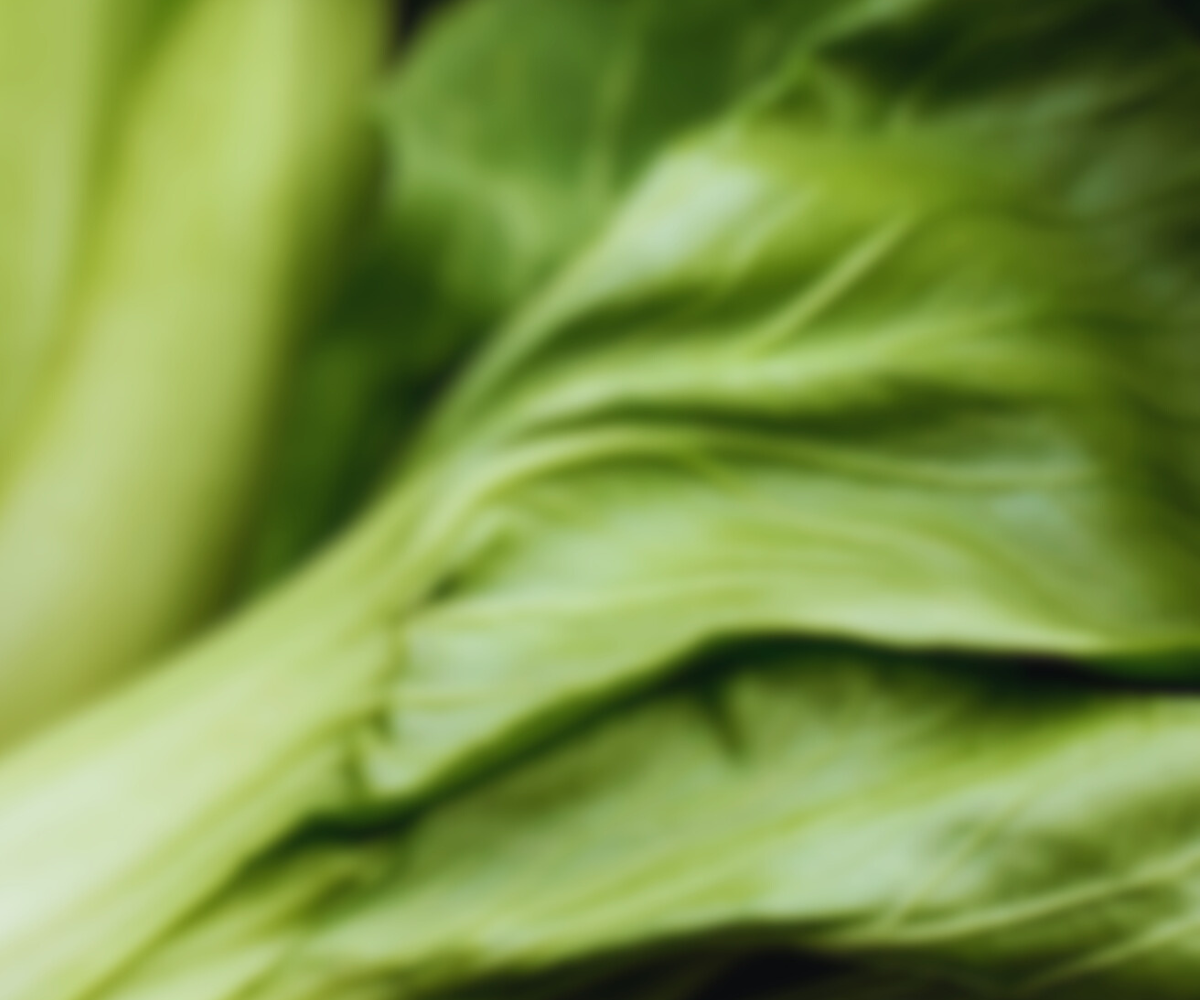 Vitamin B6: Stoffwechsel, Nerven & Hormone optimieren