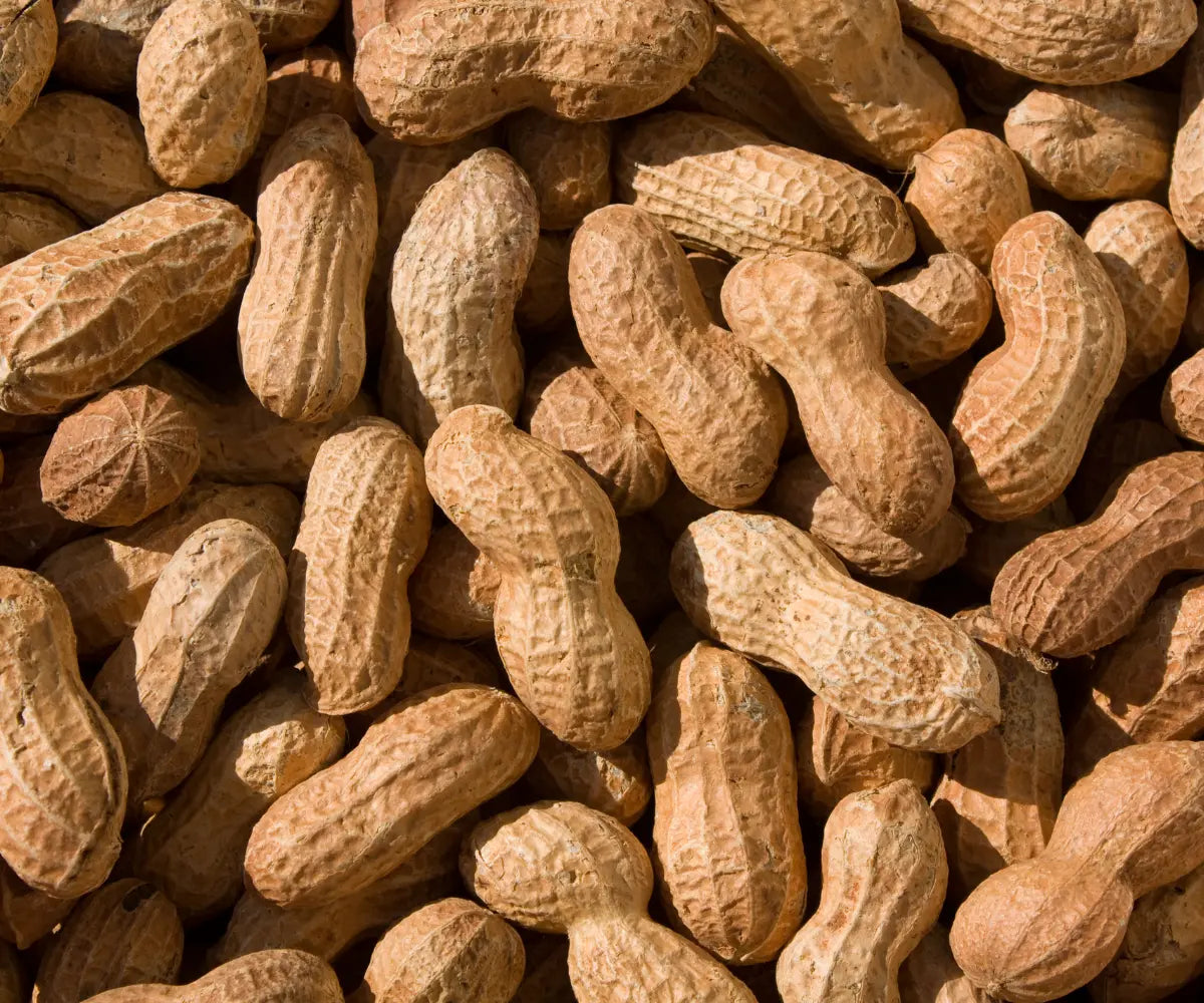 Niacin: Vitamin für Energie, Haut & Herz