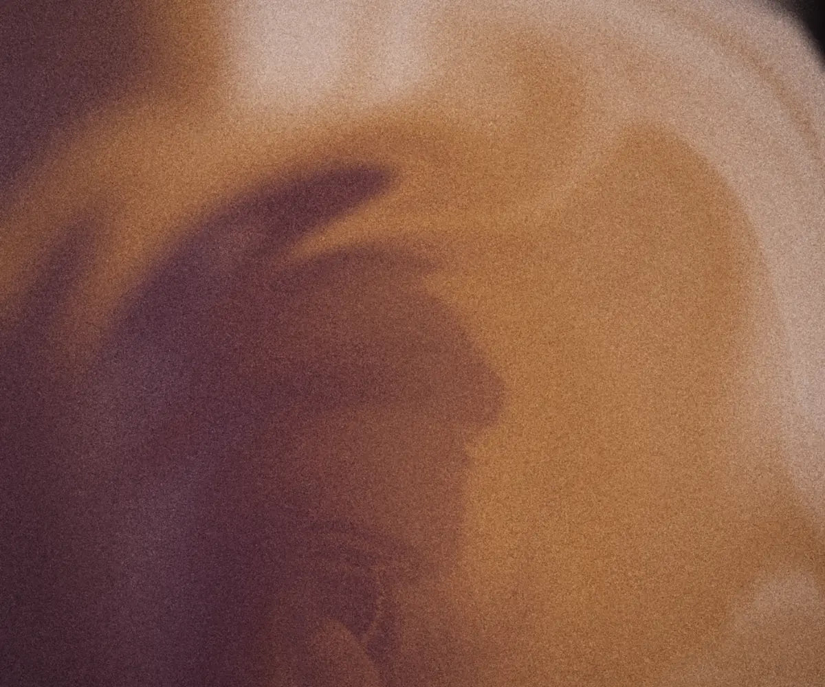 Ashwagandha: Adaptogen gegen Stress & Erschöpfung