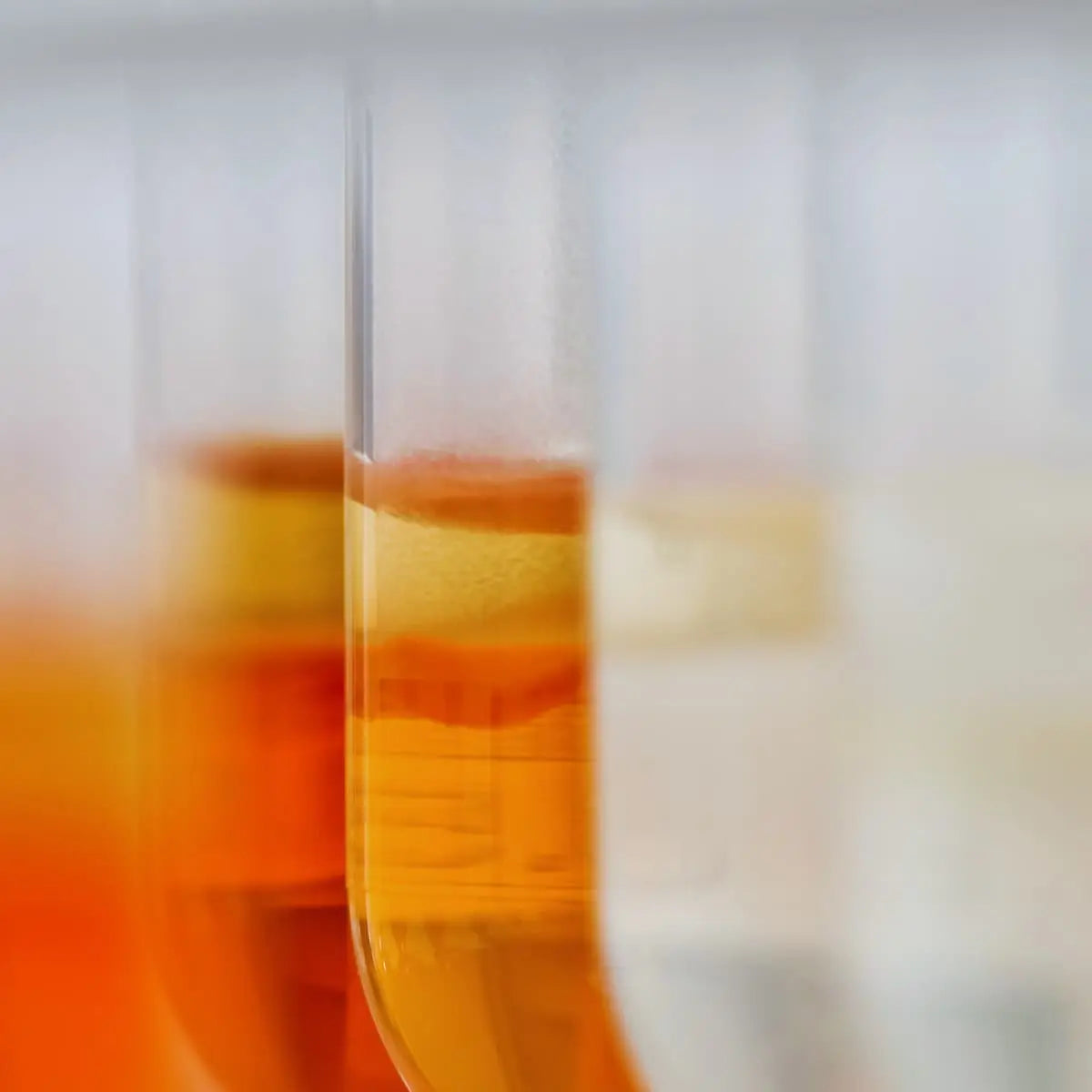 Nahaufnahme von Reagenzgläsern mit orangener Flüssigkeit